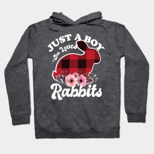 Just a Boy Who Loves Rabbits Hoodie